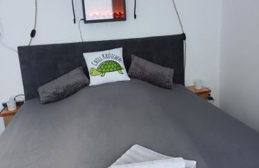 Chillkröte - Foto 24