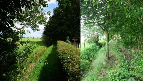 Kenilworth Garden Accomodation - Foto 3