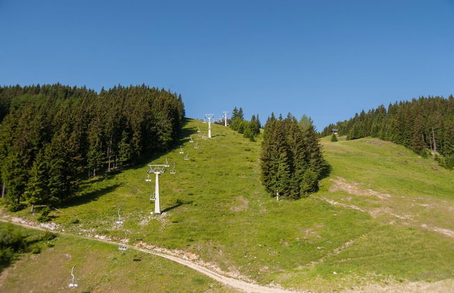 Farmhouse Blackberry Pool Wellness - Photo 26