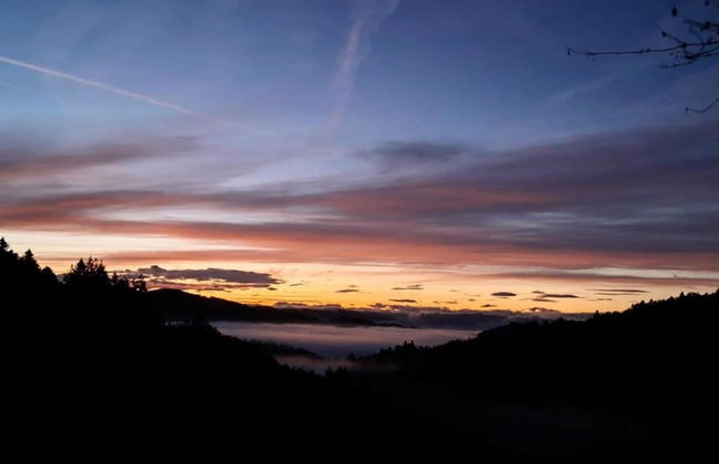 Apartment in Kleines Wiesental - Foto 36