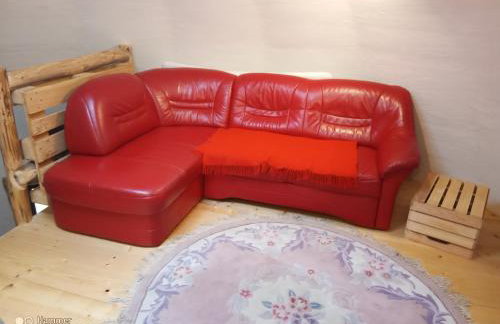 Leśna Kopuła - Foto 28