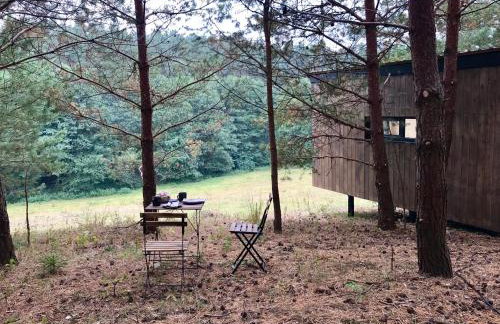 Na skraju gaju - Foto 37