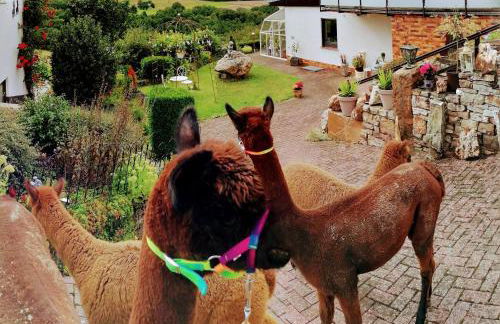 Ferienwohnung Alpaka Blick - Foto 1