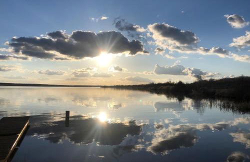 Ferienhaus Neuseenland - Foto 24