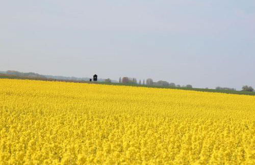 Fewo-Hiddenseeblick - Photo 35