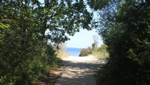 Feriendomizil Lotta und Michel - Photo 2