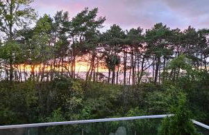 Pine & Sun Apartment - Hevenia Pogorzelica - Foto 17