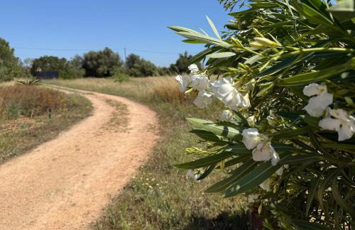Finca Can Alba - Photo 2
