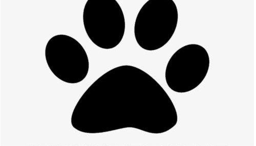 Peaceful, rural cottage on the outskirts of Padstow - Foto 3