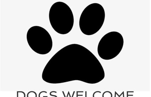 Peaceful, rural cottage on the outskirts of Padstow - Foto 3