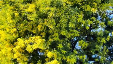 Mer et soleil - Foto 4