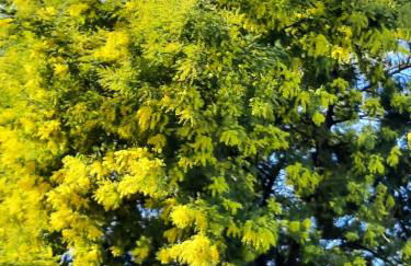 Mer et soleil - Foto 4