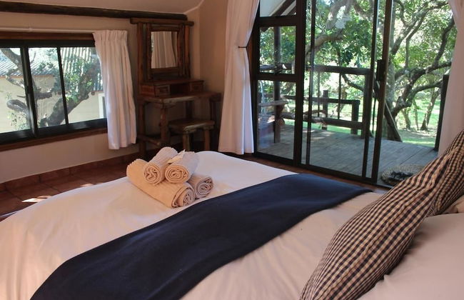 Coral Divers - Foto 7