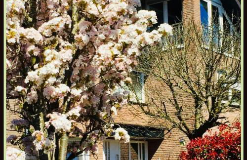 Top Ferienwohnung Raesfeld, Schlossnähe, zentral - Foto 1