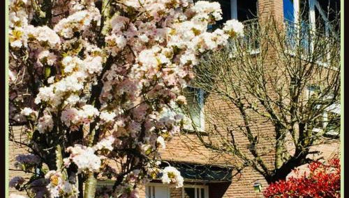 Top Ferienwohnung Raesfeld, Schlossnähe, zentral - Foto 1