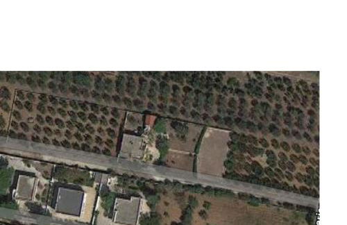 Villa tra gli ulivi - Foto 23