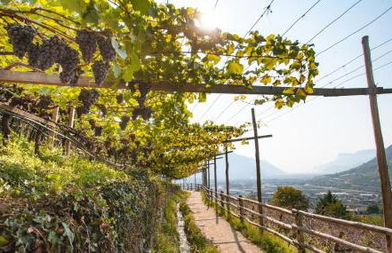 Ferienwohnungen St Hippolyt mit Hallenbad - Foto 61