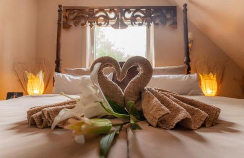 Leeloo s Sunlight - Photo 49