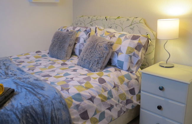 Frog Palace - Photo 12