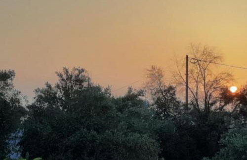 Annika's Summer Dream - Foto 35