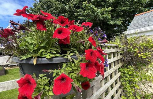Croyde Wonky Cottage 1 Bedroom - Foto 7