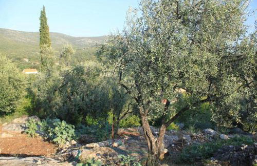 Apartment Iva - Photo 9