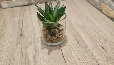 Central City White Line - Foto 5