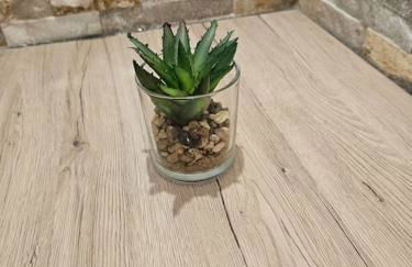 Central City White Line - Foto 5