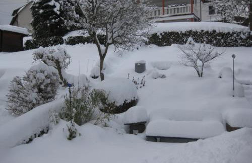 Ferienwohnung Richter - Foto 35