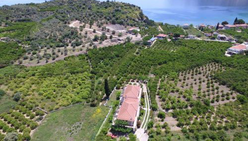 Το Είδωλον - Foto 3