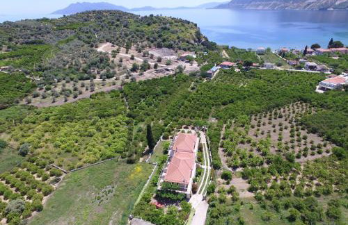 Το Είδωλον - Foto 3