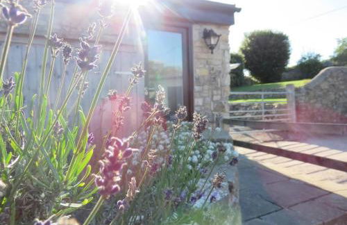 Vale of Glamorgan - Cottage - Sleeps 4 - Parking - Photo 59