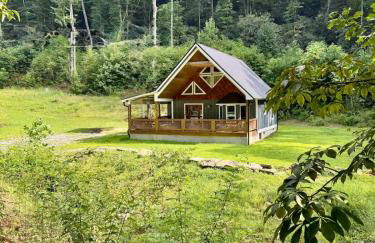 Mountain Cabin & Creek-Front Nature Retreat NC - Foto 29