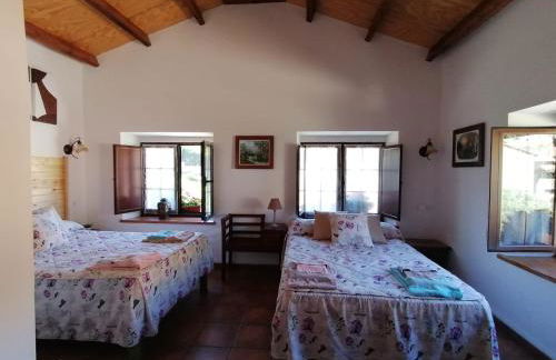 Casa Rural Nevada - Foto 15