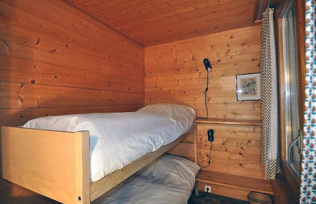 Stachelbeere OG - Foto 2