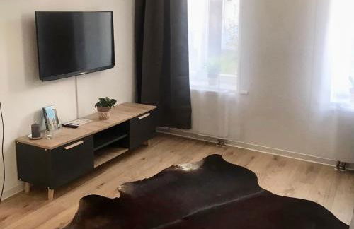 Wohlfühl-Oase mitten in der Stadt - Garten, Grill, Netflix und Drucker - Foto 2