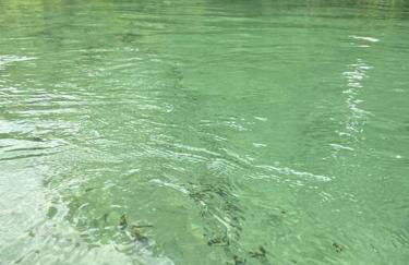 Weeki Wachee Retreat Canal home with hot tub kayaks canoe and boat with trolling motor included - Foto 52