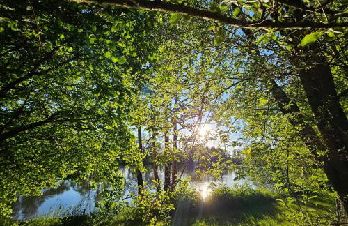 Weiherhüttla - Foto 14