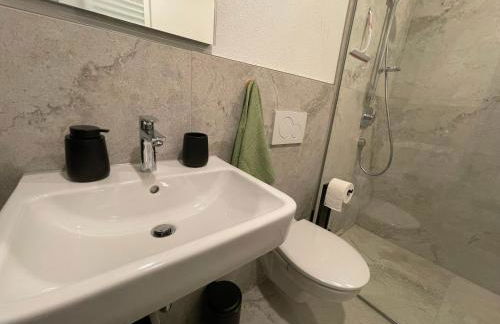 Goldstadt Comfort Suite - City Apartment Schlössle - Foto 78