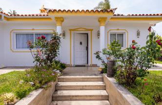 Balcón del Teide - Foto 18