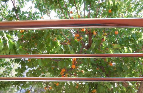 Apartments Jukic - Foto 36