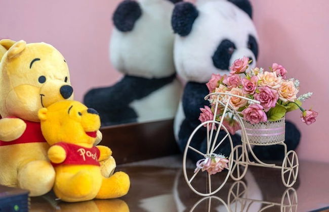 Star Sonata Pension - Foto 15