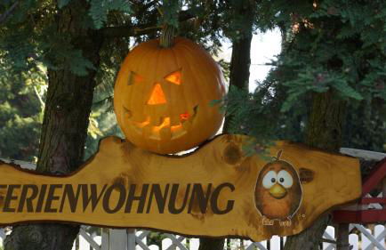 Ferienwohnung Moneblümchen - Foto 15