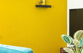 The Yellow Submarine @Sailboat Bend - Foto 25