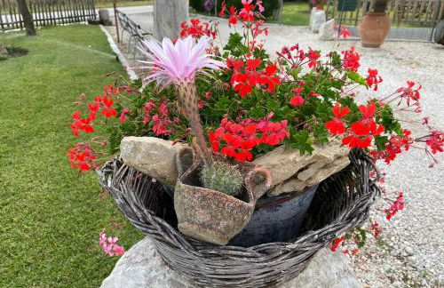 Campagna D'aMare - Foto 29