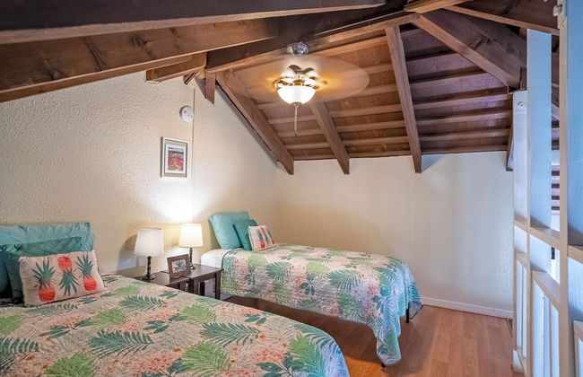 Paniolo 204a - Foto 3