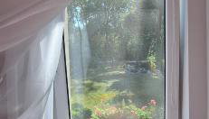 Sielanka Wydmy i Las - Foto 3