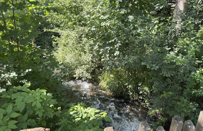 Gruppenhaus in Buntenbock - Foto 41