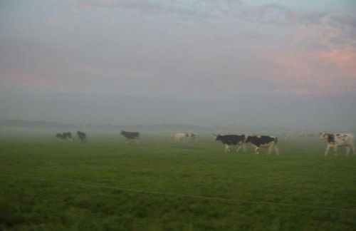 Hofboddenblick - Foto 28