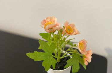 MR Ferienwohnung - Wohnung Emma - Foto 13